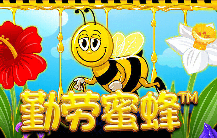 BOB半岛下载入口